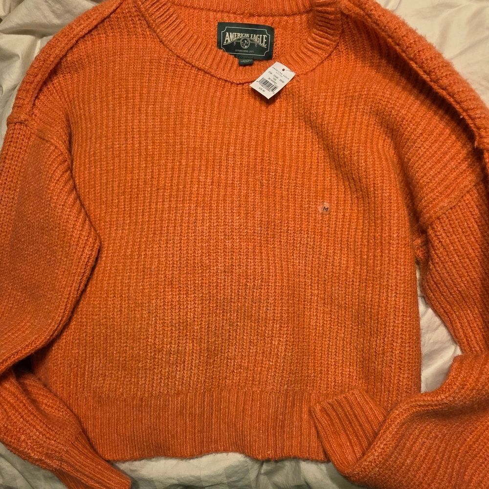 NWT American Eagle Orange Ribbed Knit Crewneck Sweater - Size M Cozygirl Fall